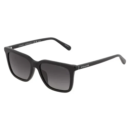 عینک آفتابی کوچ Coach HC8385U 5002T3