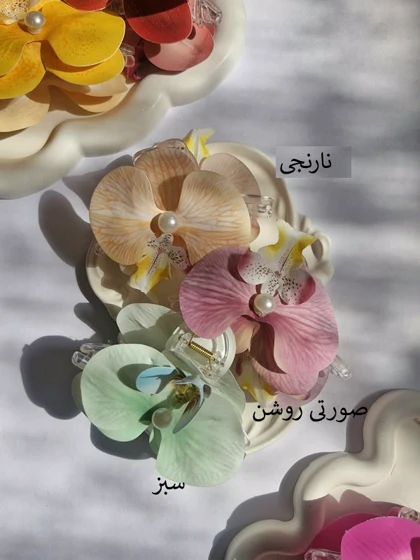 کلیپس ارکیده