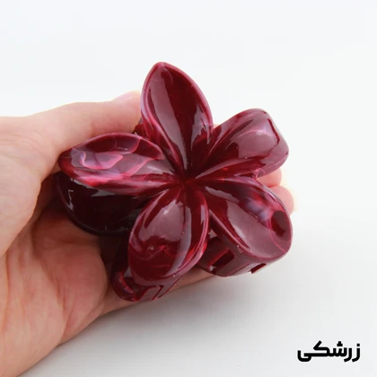 کلیپس دخترانه مدل پلومریا آبرنگی