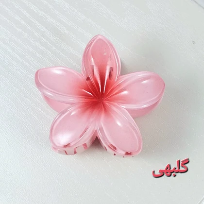 کلیپس مو زنانه مدل پلومریا بزرگ 8 سانتی متری کد G_Lnd1467