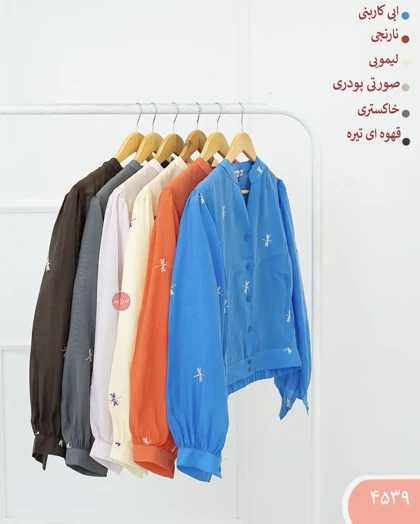 بامبر شیشه ای سنجاقک 4539