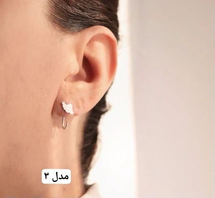 گل گوش نقره مردانه ایران