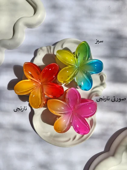 کلیپس پلومریای آبرنگی