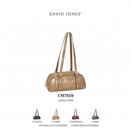 کیف دستی زنانه دیوید جونز مدل David Jones CM7859