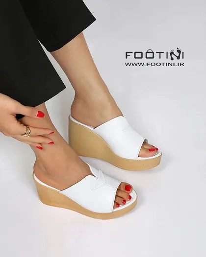 کفش لژدار