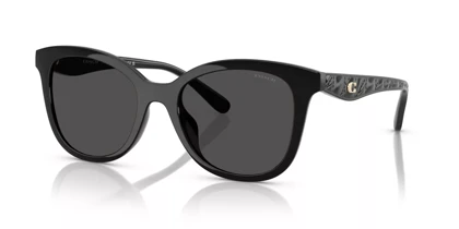 عینک آفتابی کوچ Coach HC8419U