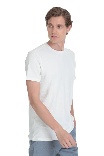 تیشرت مردانه hatemoglu