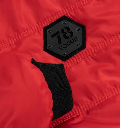 کاپشن مموری مردانه Alma 39597