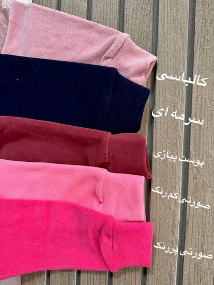 هودی پولیشی خرسی