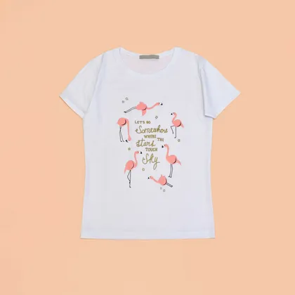 تیشرت ستاره و فلامینگو