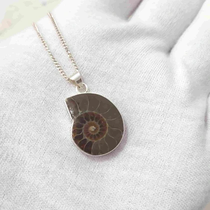 گردنبند نقره با فسیل آمونیت طبیعی اصل کد70 (بدون زنجیر)