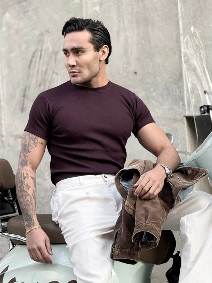 تیشرت فیت شرت بادمجانی