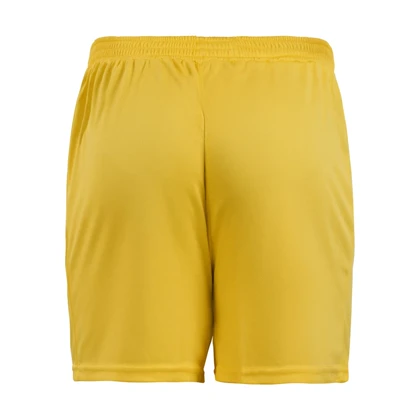 شلوارک ورزشی مردانه نایک مدل Py-2TIK زرد