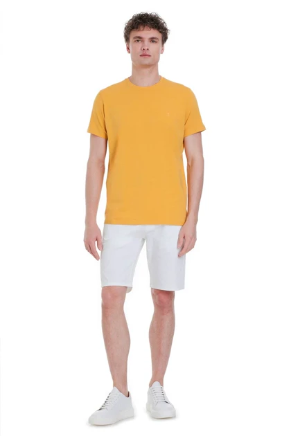 تیشرت مردانه hatemoglu