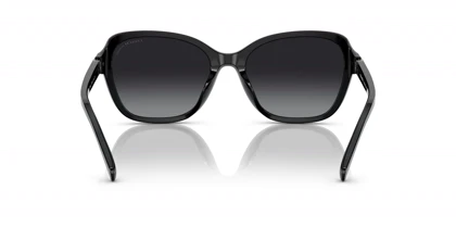 عینک آفتابی کوچ Coach HC8349U Polarized