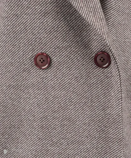 پالتو مانلی