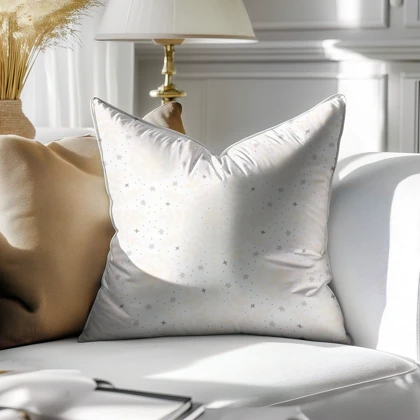 کوسن Pillow classic490