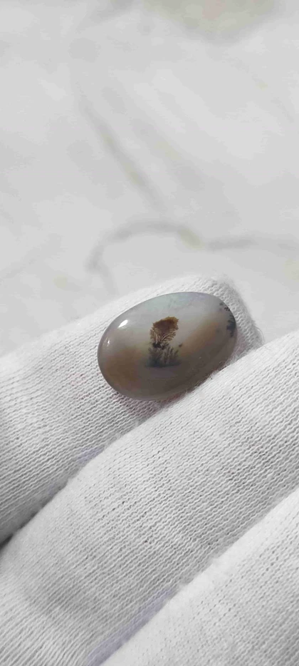 عقیق شجر قائن اصل کد 23