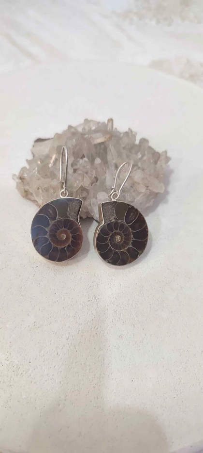 گوشواره نقره با فسیل آمونیت قهوه ای