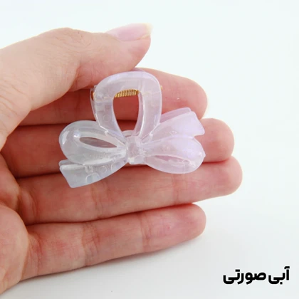 کلیپس دخترانه مدل پاپیون کوچک دو رنگ