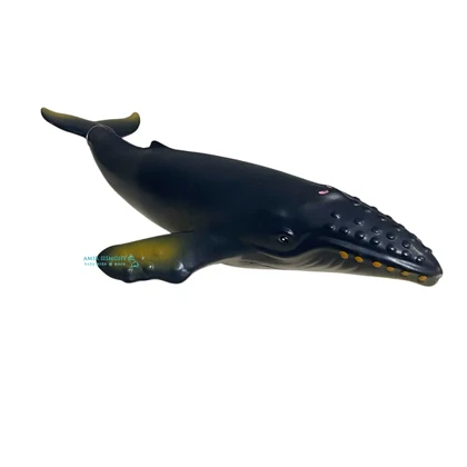 فیگوری حیوانات دریایی