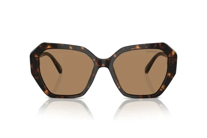 عینک آفتابی سواروسکی Swarovski SK 6017S 1002M4