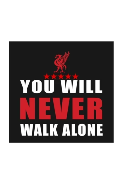 تیشرت سایز بزرگ مردانه lifeguard