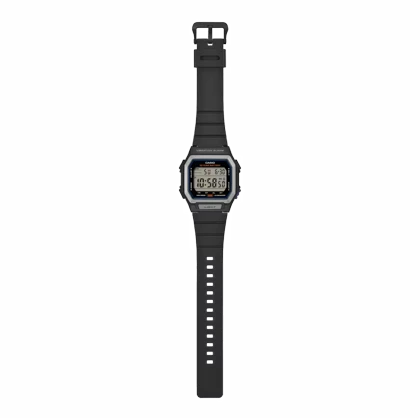 ساعت مچی مردانه کاسیو W-738H
