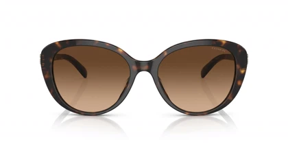 عینک آفتابی کوچ Coach HC8348U