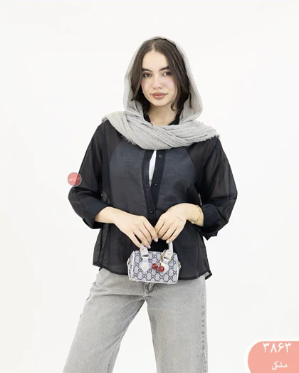 شومیز بیسیک شیشه ای زنانه 3863 | الینور