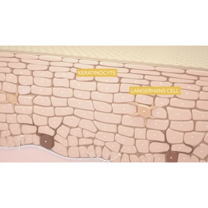 کرم ضد آفتاب رنگی بایودرما Bioderma مدل Photoderm رنگ Light SPF 50 حجم 40 میلی‌لیتر مناسب انواع پوست