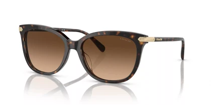 عینک آفتابی کوچ Coach HC8378U
