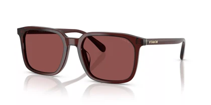 عینک آفتابی کوچ Coach HC8411U 585075