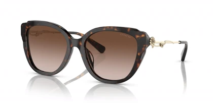 عینک آفتابی کوچ Coach HC8347B