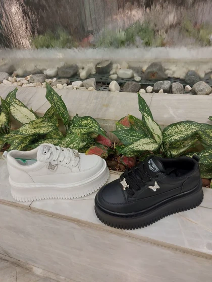 کتانی بغل پروانه