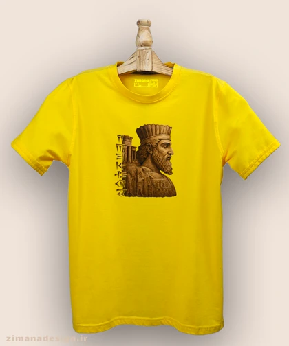 تیشرت مردانه و زنانه اصیل ایرانی طرح داریوش بزرگ کد 1002