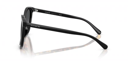 عینک آفتابی کوچ Coach HC8271U Polarized