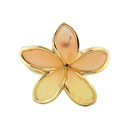 کلیپس زنانه طرح پلومریا