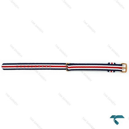 بند برزنتی ساعت دنیل ولینگتون زنانه رزگلد کانتربری DW-Strap-4244-L