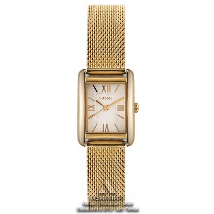ساعت فسیل بند حصیری Fossil ES3330