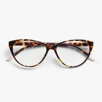 عینک مخصوص کامپیوتر بارنر Barner Astoria Glossy