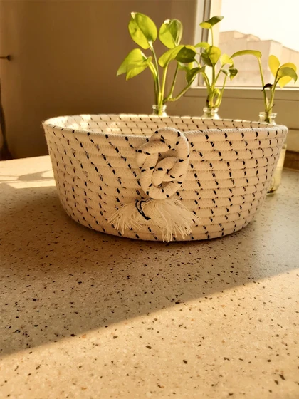 سبد نظم دهنده