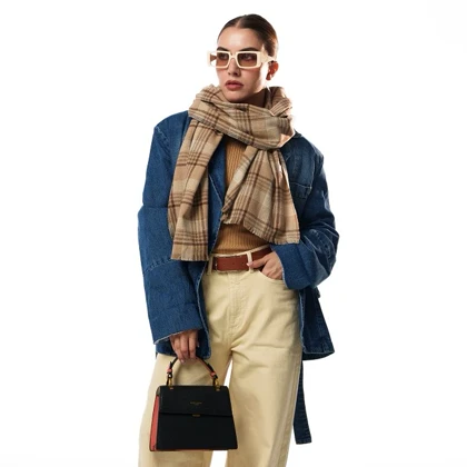 David Jones cm6100