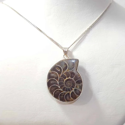 گردنبند نقره با فسیل آمونیت طبیعی اصل کد 63 (بدون زنجیر)