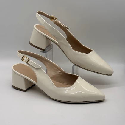 مجلسی پشت‌باز