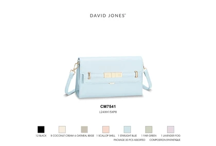 کیف دوشی زنانه دیوید جونز مدل David Jones CM7541