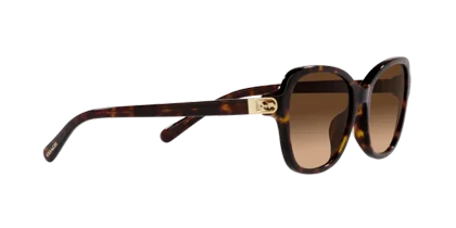 عینک آفتابی کوچ Coach HC8349U