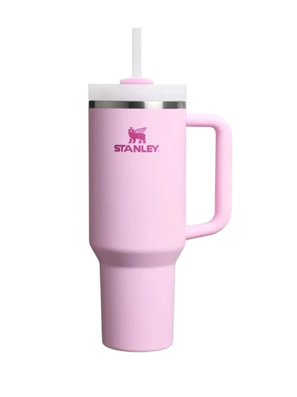 ماگ دسته دار استنلی تامبلر نی دار QUENCHER H20 TUMBLER