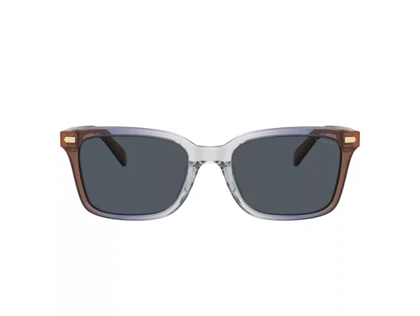عینک آفتابی کوچ Coach HC8398U