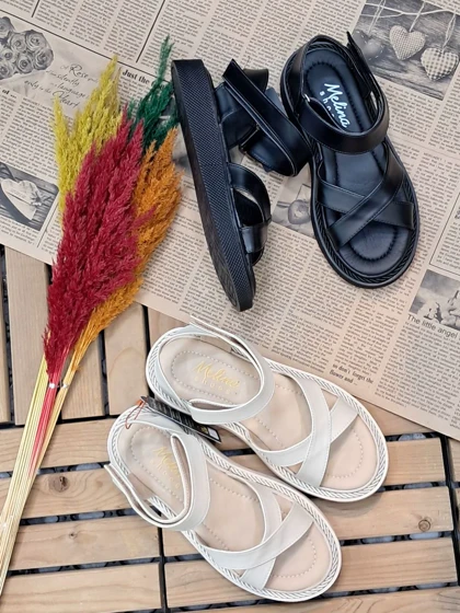 صندل ضبدری
